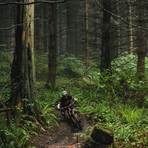 A Guide to Mountain Bike Trails Near Portland
