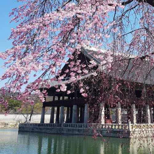 A Guide to the 5 Royal Palaces of Seoul
